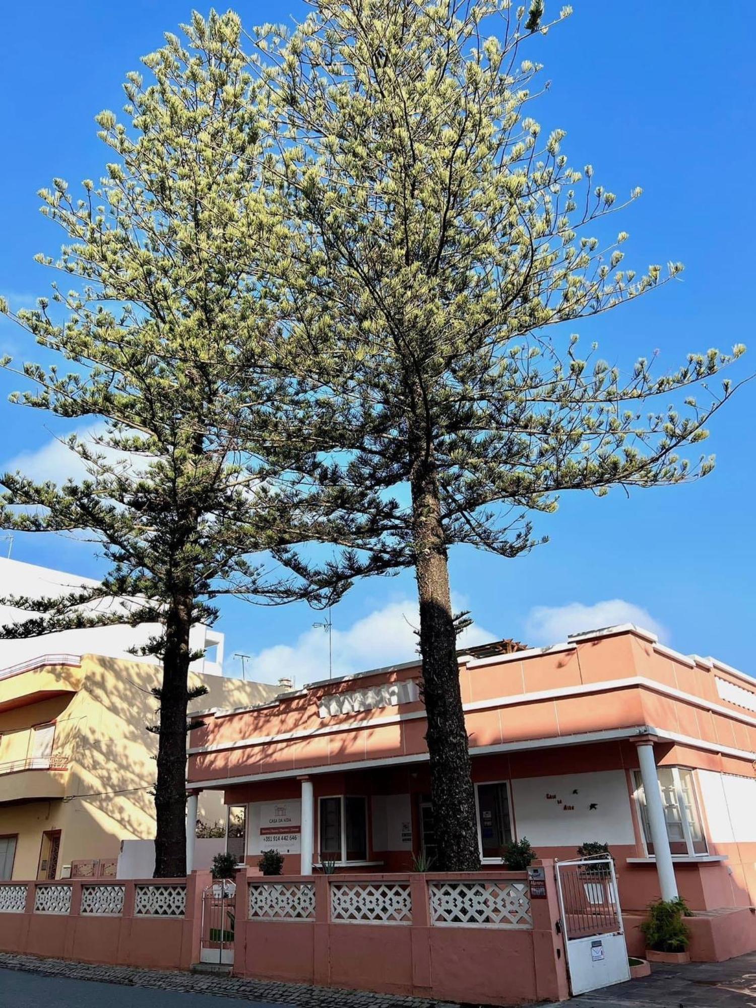 דירות פוסטה Casa Da Aida מראה חיצוני תמונה